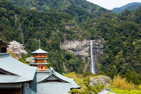 Arrayのeditorial素材