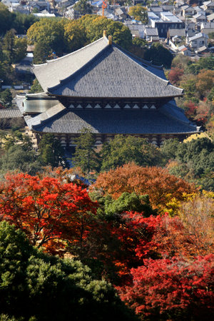 Arrayのeditorial素材