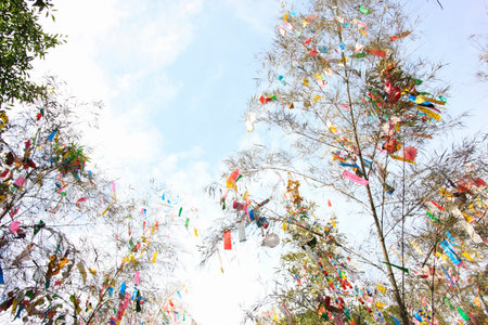 Arrayのeditorial素材