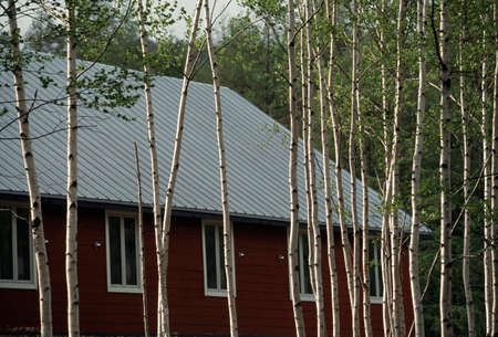 Arrayのeditorial素材