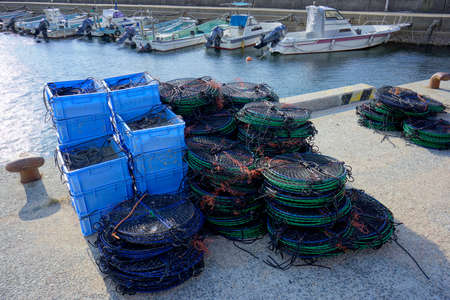 Arrayのeditorial素材