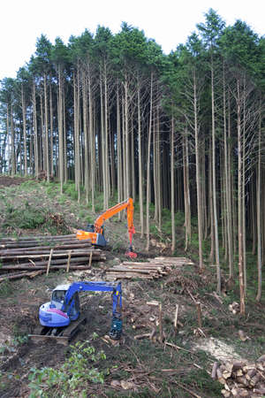 Arrayのeditorial素材