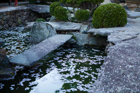 Arrayのeditorial素材