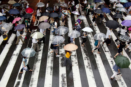 Arrayのeditorial素材