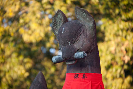 Arrayのeditorial素材