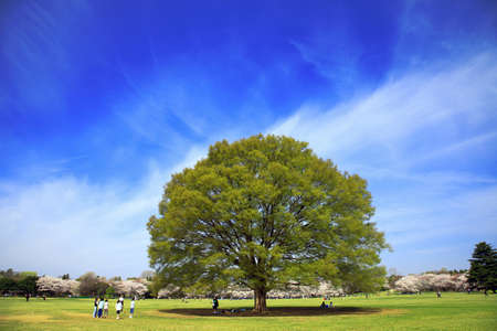 Arrayのeditorial素材