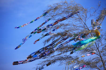 Arrayのeditorial素材