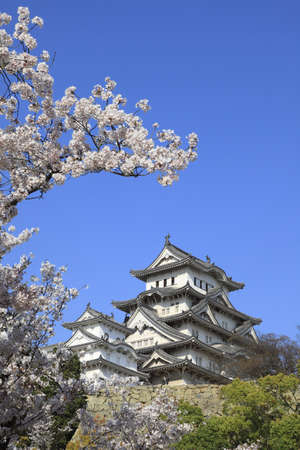 Arrayのeditorial素材