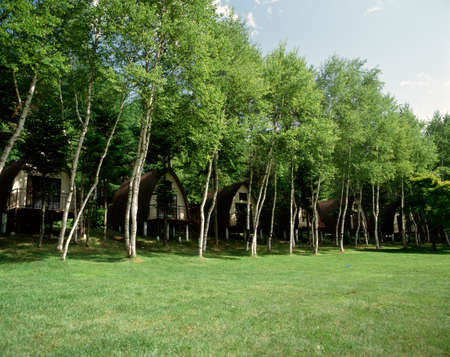 Arrayのeditorial素材