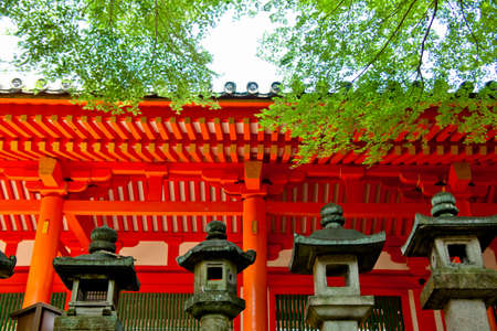 Arrayのeditorial素材