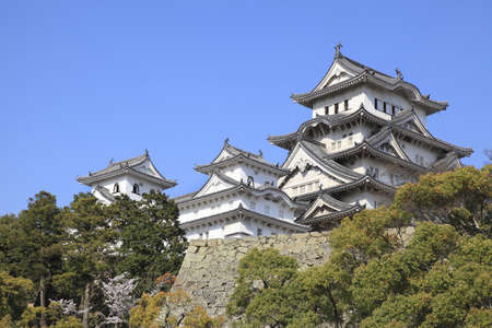 Arrayのeditorial素材