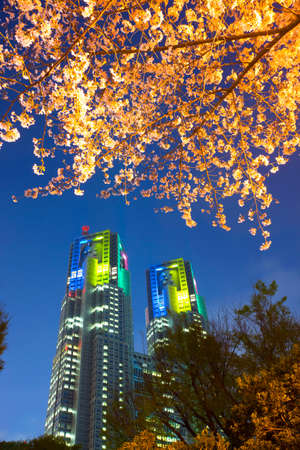 Arrayのeditorial素材