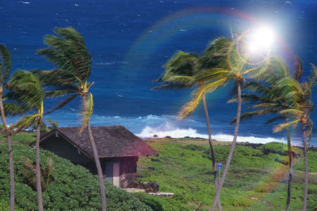 Arrayのeditorial素材