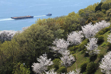 Arrayのeditorial素材