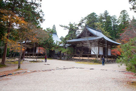 Arrayのeditorial素材