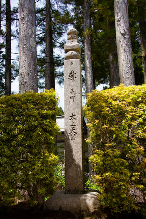 Arrayのeditorial素材