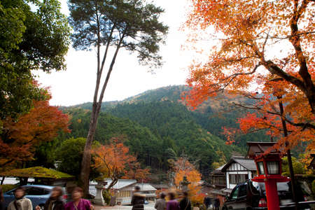 Arrayのeditorial素材