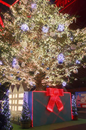 Arrayのeditorial素材