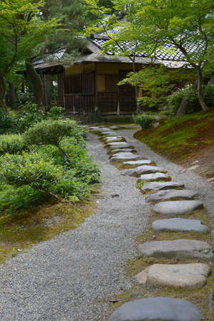 Arrayのeditorial素材