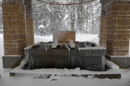 Arrayのeditorial素材