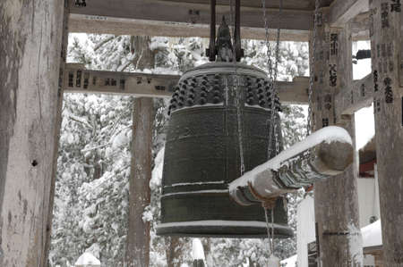 Arrayのeditorial素材