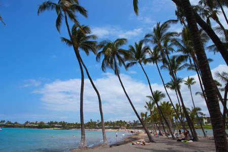 Arrayのeditorial素材