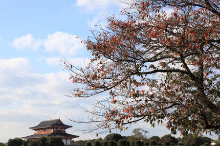 Arrayのeditorial素材