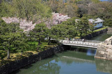 Arrayのeditorial素材