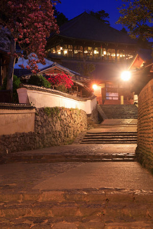 Arrayのeditorial素材