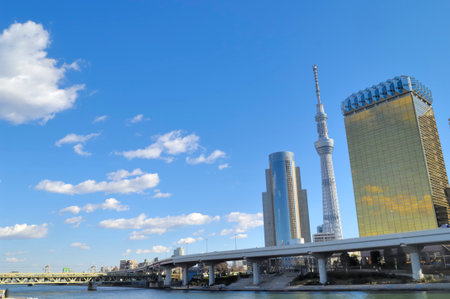 Arrayのeditorial素材