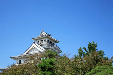 Arrayのeditorial素材