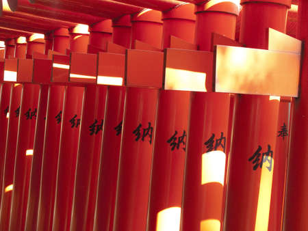 Arrayのeditorial素材