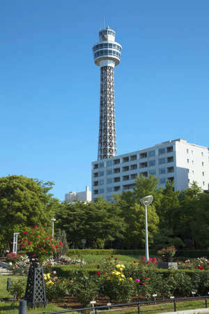 Arrayのeditorial素材