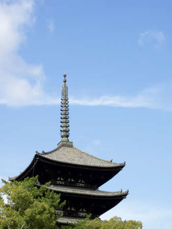 Arrayのeditorial素材