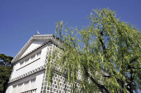 Arrayのeditorial素材