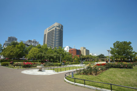 Arrayのeditorial素材