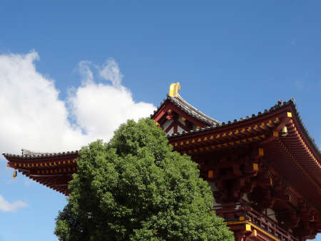 Arrayのeditorial素材