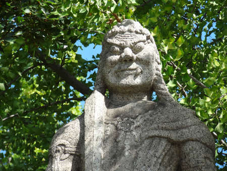 Arrayのeditorial素材