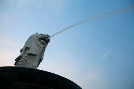 Arrayのeditorial素材