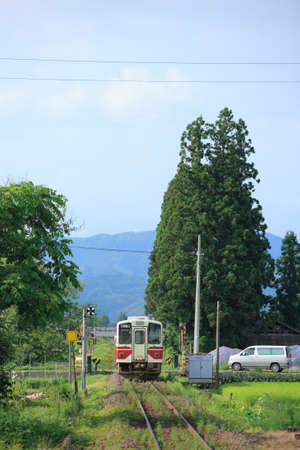 Arrayのeditorial素材