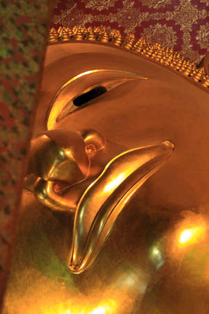 Arrayのeditorial素材