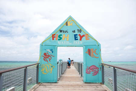 Arrayのeditorial素材