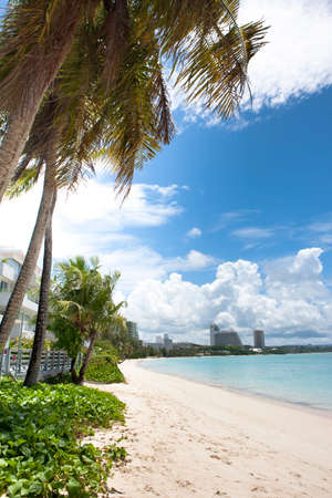 Arrayのeditorial素材