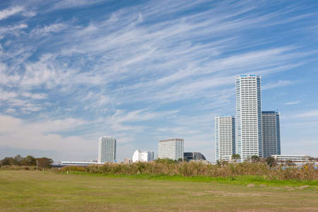 Arrayのeditorial素材