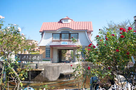 Arrayのeditorial素材