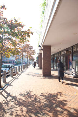 Arrayのeditorial素材