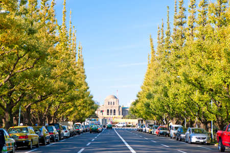 Arrayのeditorial素材