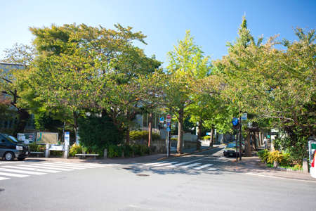 Arrayのeditorial素材