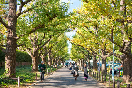 Arrayのeditorial素材