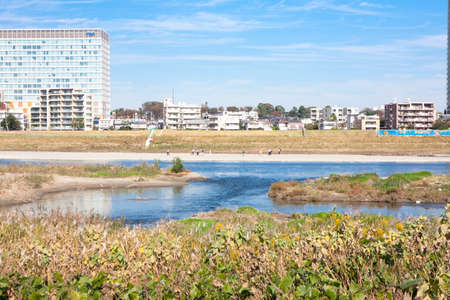 Arrayのeditorial素材